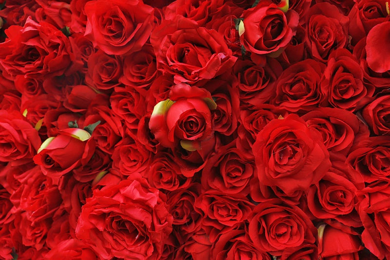 Red Artificial Flower Wall Panel - Wedding Backdrop Decor