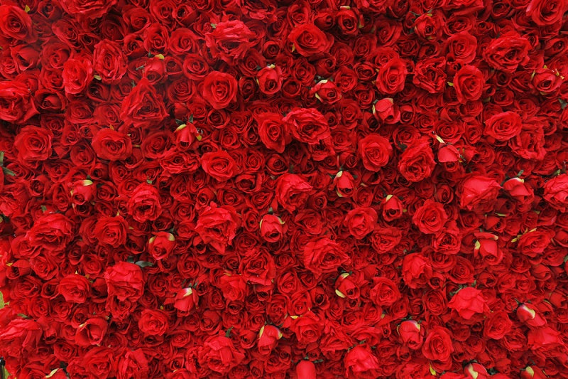 Red Artificial Flower Wall Panel - Wedding Backdrop Decor