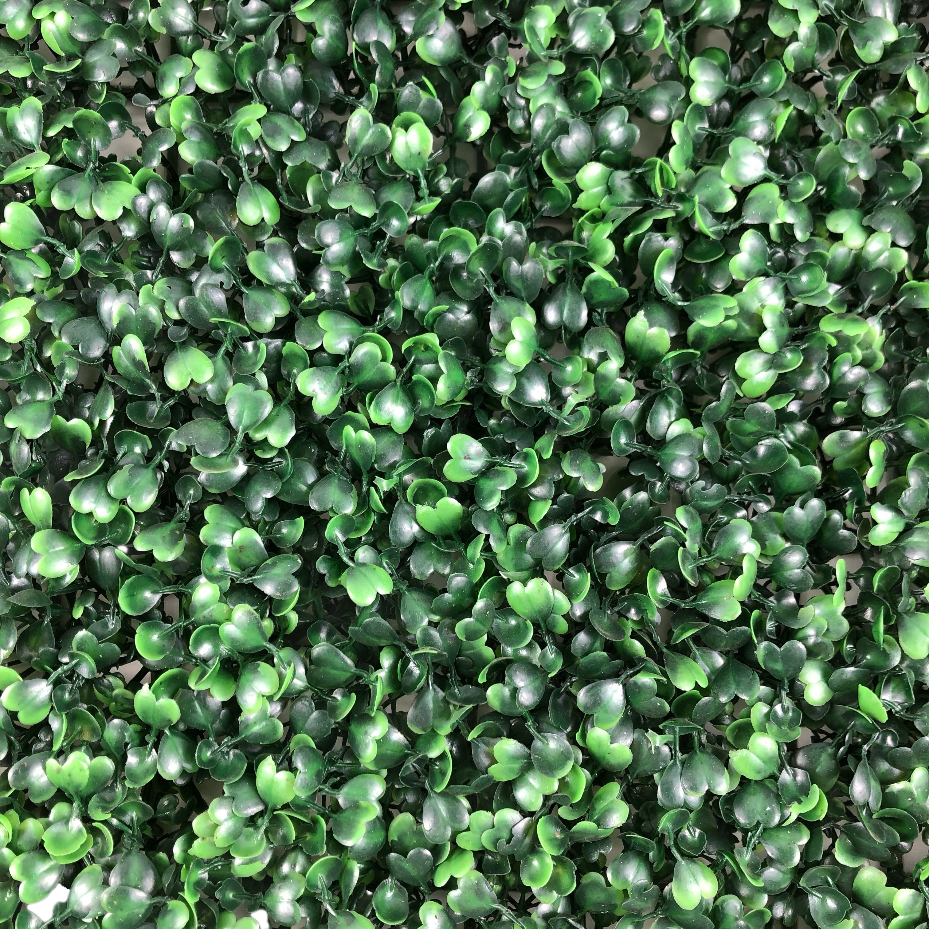 Indoor 10pcs 40x60cm Boxwood Hedge Artificial Green Wall Panel